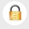Security lock manager